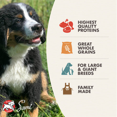 Fromm Gold Puppy Large Breed Dry Dog Food - Chicken - 15lb Bag